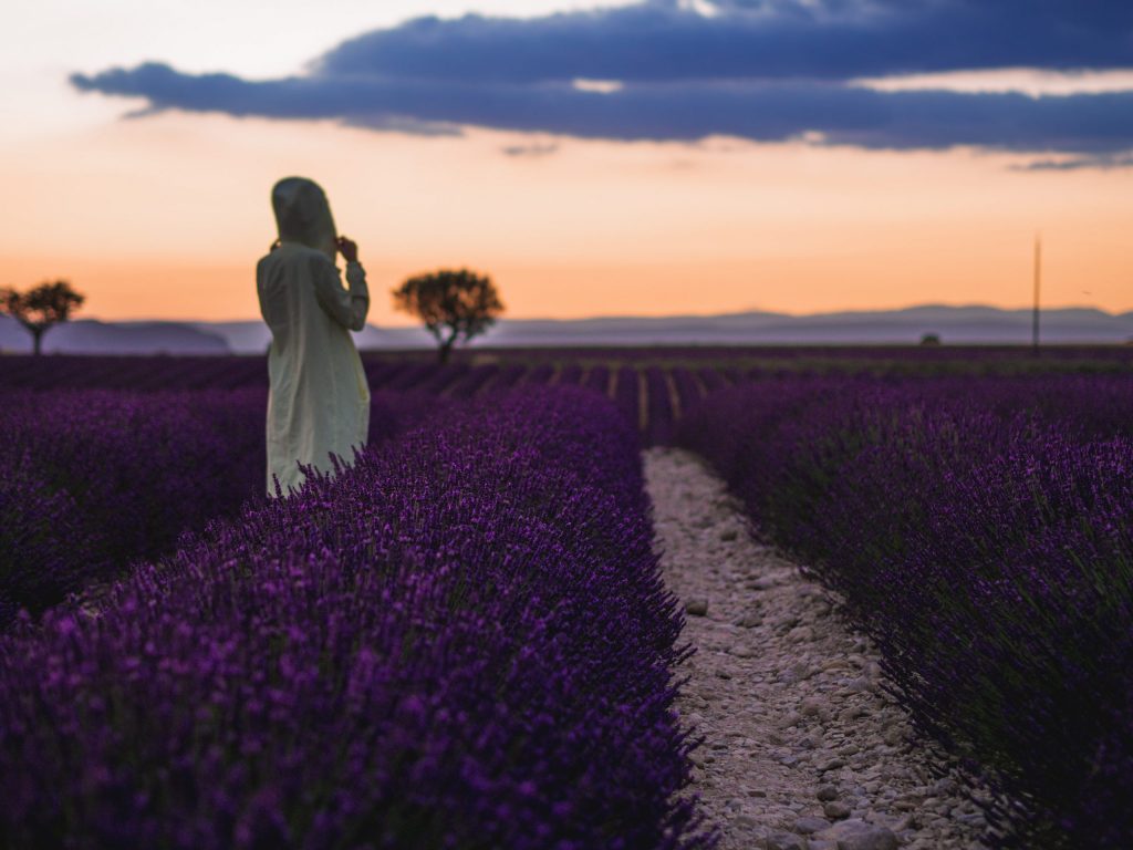 things to do in Provence
